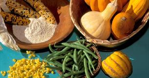 Re-centering Indigenous Foodways and Food Sovereignty in North America