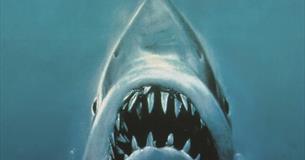 Jaws (12A) Open Air Cinema at Tinside Lido
