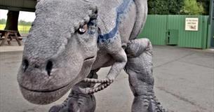 Jurassic Adventure