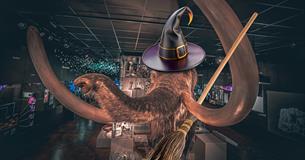 Mildred the Mammoth in Halloween costume