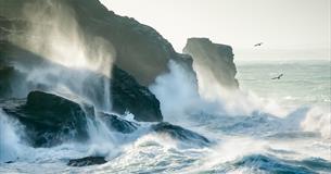 Lost to the Sea by Lisa Wollett