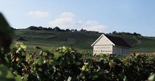 Louis Roederer Champagne & Tapas Tasting