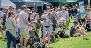 The Big Doggy Day Out Festival