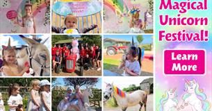 Magical Unicorn Festival at Pennywell Farm!