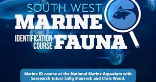 South West Marine Fauna Identification Course