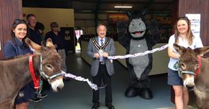 Ivybridge Donkey Sanctuary Open Day