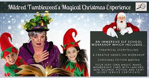 Mildred Tumbleweed's Magical Christmas Experience