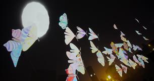 Moths Interactive Dome Experience with Story Reading