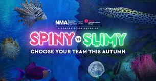 Fish in the tank, with the words slime vs spine on it
