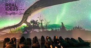 Northern Lights Experience - Dome Screening