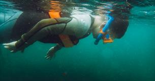 Snorkel Safaris
