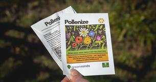 Seeds for Plymouth - Immersive Wildflower Experience