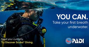 Give Scuba Diving A Go Session