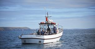 Plymouth Boat Trips Fishing Experience  - Cook Your Catch at The Hook & Line