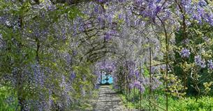 Garden Open Day