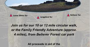 Postbridge Challenge 2019
