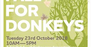 Fall for Donkeys