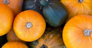Pumpkins of different colours