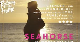 Seahorse: The Dad Who Gave Birth