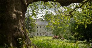 Magic and Myths Trail at Saltram House