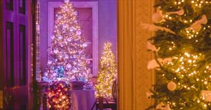Saltram's Christmastime Ball