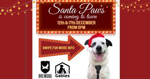 Santa Paws at Brewdog!