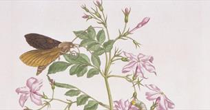 Evening Lecture: Artists and Scientists: A Short History of a Long Collaboration