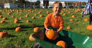 Pumpkin Fest 2019