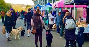 Plymouth Good Food Sunday
