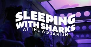 Sleeping with Sharks at The Aquarium - SOLD OUT