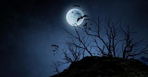 Halloween 2023: Spooky Science