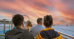 Sunset Sails with the Ocean Conservation Trust