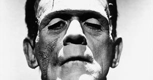 Nearly in the shadow of my own vampire: Mary Shelley's Frankenstein 201 years later