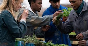 The Kitchen Brigade (12A)