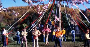 The Wicker Man (15)