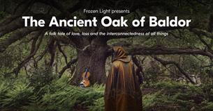 The Ancient Oak of Baldor