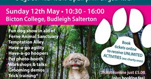The Big Doggy Day Out Festival