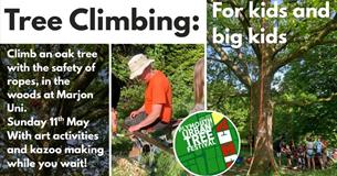 Tree Climbing for Kids and Big Kids