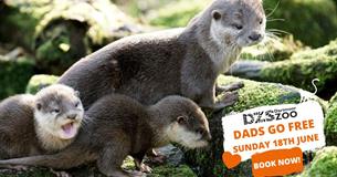 Dads FREE admission to Dartmoor Zoo!