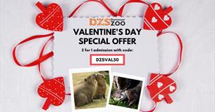 241 Valentine's Day at Dartmoor Zoo