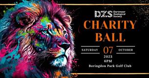 Charity Ball