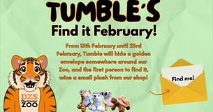 Find it February