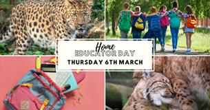 Home Educator Day