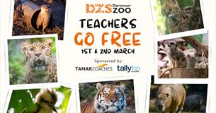 Teachers Go FREE
