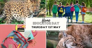 Home Educator Day - Creativity