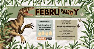 FebruROARY! Half term at Dartmoor Zoo!