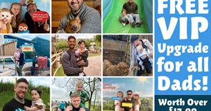 Father's Day at Pennywell Farm