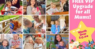 Mother's Day at Pennywell Farm