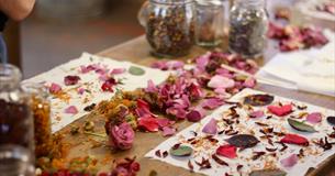 Natural Colour Workshop Taster