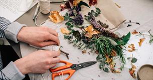 Natural Colour Workshop